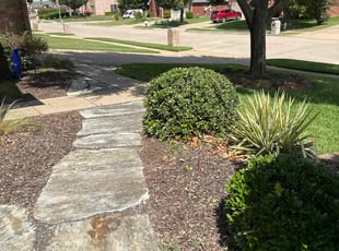 Tri D.'s Bush Trimming service result