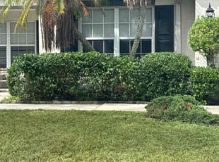 Bush Trimming by Mark Luke for Deirdre B. in Parrish, FL