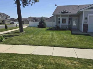 Daniel M.'s Lawn Service service result