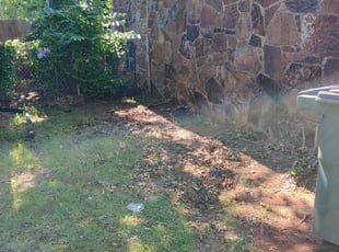 Leaf Removal by Muhammad Rasheed for Thomas C. in Del City, OK
