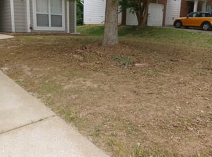 Leaf Removal by King Odeh for Audrey R. in Austell, GA