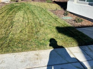 Rosie E.'s Lawn Care service result