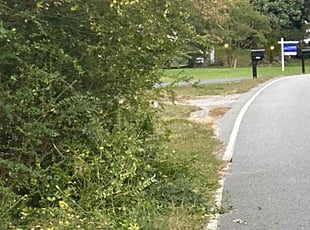 Bush Trimming by D Mitchell for Shannon T. in Richmond, VA
