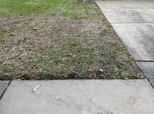Leaf Removal by Nicole Ross for Nicole M. in Houston, TX