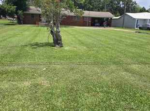 Sandra M.'s Lawn Service service result