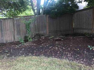Leaf Removal by Tonya Mertes for Mahta T. in Vancouver, WA