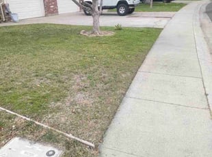 Lynda E.'s Leaf Removal service result