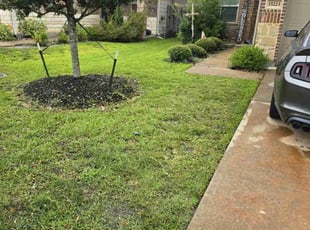 Jere F.'s Lawn Mowing service result