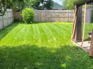 Nick D.'s Grass Cutting service result