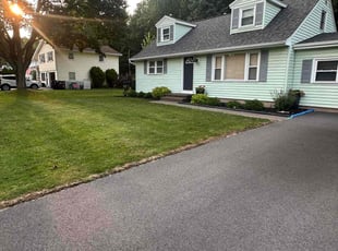 Nivia P.'s Lawn Mowing Service service result