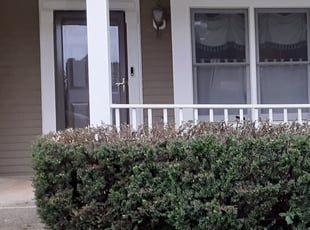 Bush Trimming by Amber Fuentes for Dominick M. in North Potomac, MD