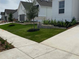 Stacie S.'s Lawn Mowing service result