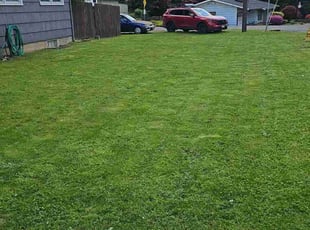 Ms H.'s Lawn Mowing Service service result