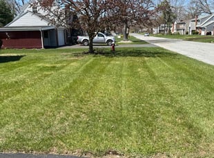 Travis W.'s Lawn Care service result