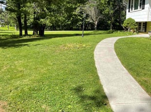 Wynter J.'s Lawn Care service result