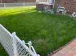 Eual H.'s Lawn Care service result