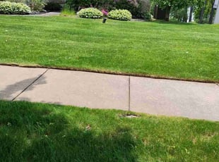 Gerard W.'s Yard Cutting service result
