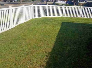 Mariah G.'s Yard Cutting service result
