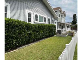 Bush Trimming by Keith Dalke for Paris M. in San Diego, CA