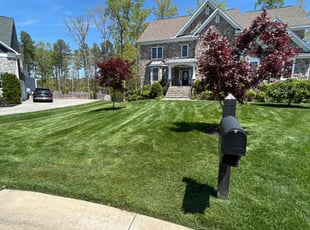 Sally M.'s Grass Cutting service result
