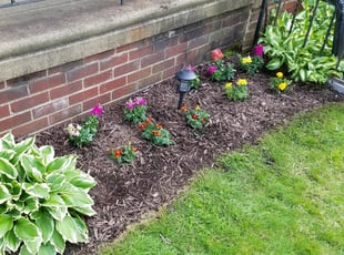 Landscaping by Robert Lacy for Carol G. in Philadelphia, PA