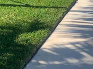 Giovanni B.'s Lawn Care service result