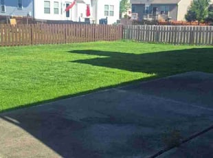Leigh K.'s Lawn Mowing service result
