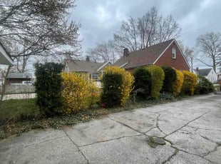 Bush Trimming by Demetrius Bennett Jr for Valerie R. in Cleveland, OH