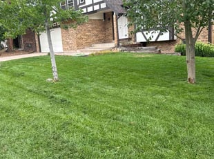 Elizabeth C.'s Lawn Mowing Service service result