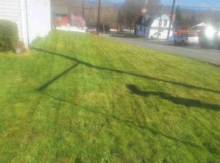 James A.'s Lawn Mowing service result