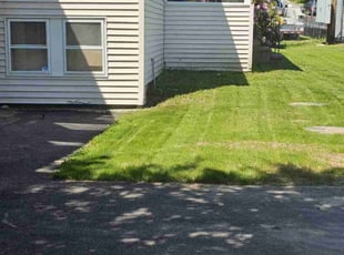 John K.'s Lawn Care service result
