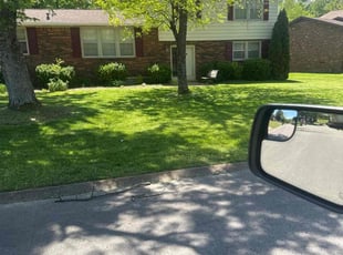 "Larry W.'s Lawn Mowing Service service result