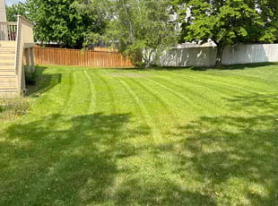 Mark V.'s Lawn Mowing service result