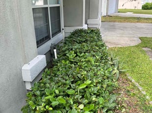Bush Trimming by Brooke Starling for Laryn W. in Orange Park, FL