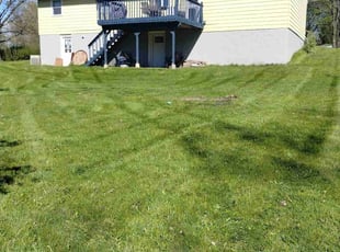 Linda H.'s Grass Cutting service result