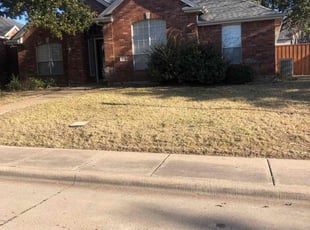 Leaf Removal by Simon Diamond for Daniel R. in Dallas, TX