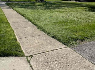 Adrian R.'s Yard Cutting service result