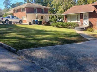 Sergio L.'s Lawn Mowing service result