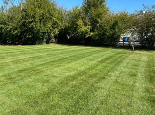 Diana D.'s Lawn Mowing Service service result