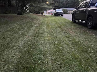 Cynthia T.'s Grass Cutting service result