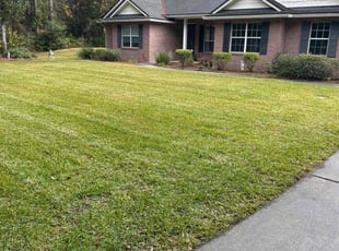 Hannah H.'s Lawn Care service result