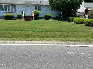 Connie C.'s Grass Cutting service result