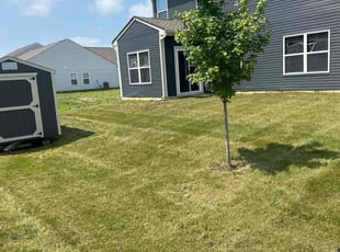 Mrs. W.'s Lawn Mowing Service service result