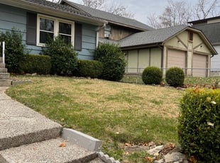Leaf Removal by Scott Culala for Amy K. in Kansas City, MO