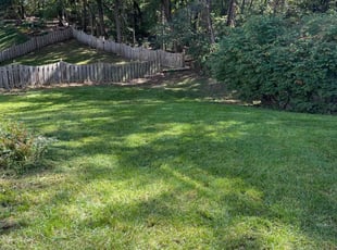 Xavier S.'s Lawn Service service result
