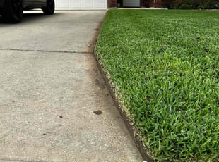 Monique A.'s Lawn Mowing service result