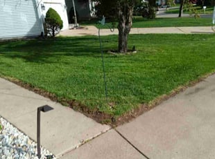 Anthony H.'s Lawn Mowing Service service result