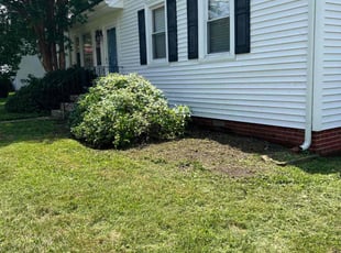 Weeding by LaWanda Moses for Whitney T. in Richmond, VA