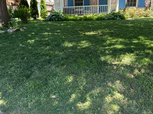 Adrienne G.'s Lawn Service service result