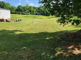 Allan M.'s Lawn Mowing service result